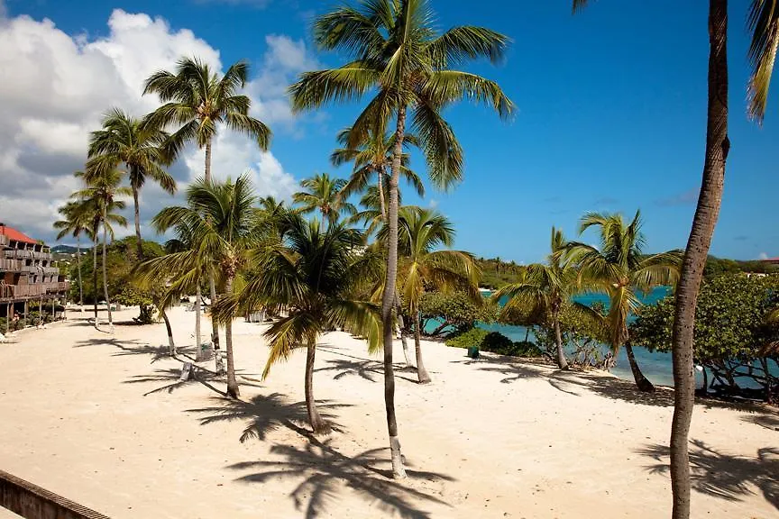 Sapphire Beach - Beachfront Condo East End  0*, East End (Saint Thomas)