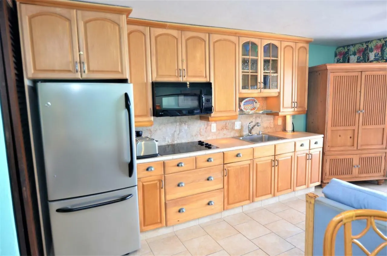 Sapphire Beach - Beachfront Condo East End  Apartment East End (Saint Thomas)